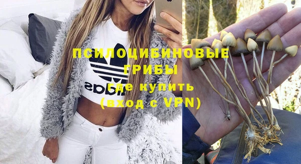 spice Арсеньев