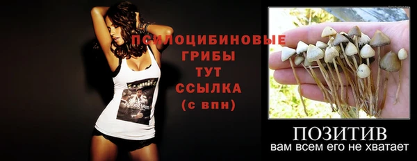 прущие крисы Армянск
