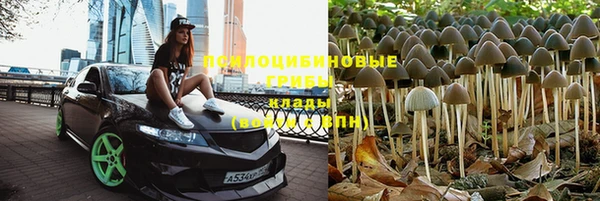 гашиш Аркадак