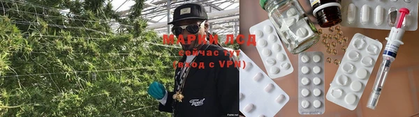 spice Арсеньев